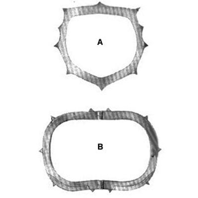 Rubberdam Instruments